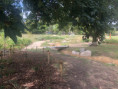 /album/jardins-jumeles-nantes-seattle/img-0934-jpg/