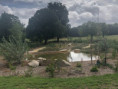 /album/jardins-jumeles-nantes-seattle/img-0935-jpg/