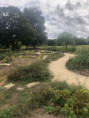 /album/jardins-jumeles-nantes-seattle/img-0939-jpg/