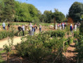 /album/jardins-jumeles-nantes-seattle/img-0955-jpg/