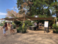 /album/folies-des-plantes-2026/img-2649-jpg/